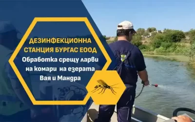 Обработка против ларви на комари с лодка на територията на езерата Вая и Мандра